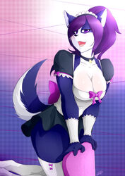  2015 absurd_res anthro biped black_nose blue_body blue_fur blush breasts canid canine canis cleavage clothed clothing domestic_dog dress fangs female fur hair hi_res husky kneeling legwear long_hair looking_at_viewer looking_down maid_uniform mammal mrsakai nordic_sled_dog open_mouth purple_eyes purple_hair ribbons smile sog solo spitz stockings teeth thick_thighs tongue uniform white_body white_fur 