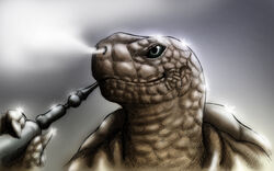  16:10 2010 anthro black_sclera brown_body brown_scales claws grey_background hookah kalnareff male reptile scales scalie shell simple_background smile smoke smoking solo turtle wallpaper 