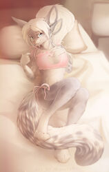  anthro bed biped bra breasts cat_keyhole_bra cat_lingerie cleavage cleavage_cutout clothed clothing cutout digital_media_(artwork) fangs felid female frilly frilly_bra frilly_clothing frilly_underwear furmessiah_(character) furniture hair inside keyhole_bra keyhole_clothing keyhole_underwear lingerie looking_at_viewer lying magenta7 mammal on_back panties pillow pink_bra pink_clothing pink_panties pink_underwear shaded side-tie_panties smile solo teeth training_bra underwear underwear_only 