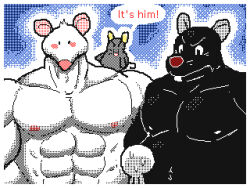  2024 angry anthro belly big_belly black_body blush bodily_fluids english_text grey_body group keke_(artist) male mammal moobs murid murine musclegut muscular muscular_male nipples overweight overweight_male rat red_nose rodent size_difference sweat text white_body 