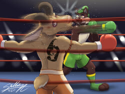  anthro bottomwear bovid boxing canid canine canis caprine clothing duo gloves goat handwear hi_res male mammal punch sagadreams shorts sport tattoo wolf wounded 