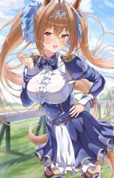  absurdres animal_ears antenna_hair black_bow black_bowtie blurry blurry_background blush bochibochi_(gyuuniku_6000) bow bowtie breasts brown_hair center_frills cloud cloudy_sky commentary_request daiwa_scarlet_(peak_blue)_(umamusume) daiwa_scarlet_(umamusume) epaulettes female fence floating_hair framed_breasts frills gold_trim grass hair_between_eyes hair_intakes hair_ornament hand_up highres horse_ears horse_girl horse_racing_track horse_tail juliet_sleeves large_breasts long_hair long_sleeves looking_at_viewer oerba_yun_fang open_mouth outdoors puffy_sleeves red_eyes sky smile solo tail teeth thighs tiara umamusume upper_teeth_only very_long_hair 