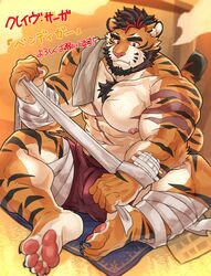  1boy abs absurdres animal_ears applying_bandages bandiger_(crave_saga) bara beard black_hair bulge crave_saga facial_hair fang_out full_beard full_body furry furry_male highres large_pectorals male_focus multicolored_hair muscular muscular_male nipples oerba_yun_fang orange_fur pectorals raineru_(gryffindor131) red_hair scar short_hair sitting solo streaked_hair tail thick_beard tiger_boy tiger_ears tiger_tail topless_male translation_request white_fur 