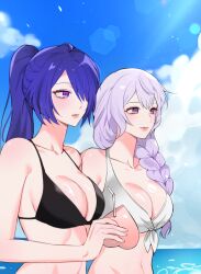  2girls 9_(hcl9fg) acheron_(honkai:_star_rail) alternate_costume alternate_hairstyle bare_shoulders bikini black_bikini black_swan_(honkai:_star_rail) blue_sky blush braid breasts cleavage closed_mouth cloud collarbone day drinking_straw food front-tie_bikini_top front-tie_top fruit hair_between_eyes hair_over_one_eye highres holding holding_food holding_fruit honkai:_star_rail honkai_(series) large_breasts long_hair looking_ahead multiple_girls outdoors peach ponytail purple_eyes purple_hair side_braid sidelocks sky smile swimsuit upper_body white_bikini 