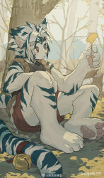  2025 absurd_res anthro bell claws felid fur hair hi_res jingle_bell kemono kogenta_(onmyou_taisenki) looking_at_object male mammal markings milkybot onmyou_taisenki pantherine red_eyes sitting sitting_on_ground solo striped_body striped_fur striped_markings striped_tail stripes tail tail_markings tiger tuft white_body white_fur 