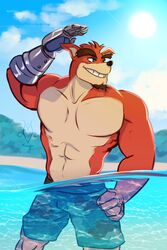  2:3 activision anthro bandicoot beach biped blue_eyes blue_sky clothed clothing crash_(series) crunch_bandicoot facial_hair fur goatee grin hand_on_hip hi_res kraujas male mammal marsupial muscular muscular_anthro muscular_male partially_submerged prosthetic prosthetic_arm prosthetic_limb red_body red_fur seaside sky smile solo sun swimming_trunks swimwear topless water 