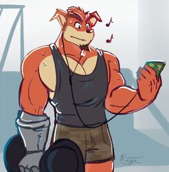  activision anthro bandicoot biped black_clothing black_shirt black_topwear bodily_fluids bottomwear clothed clothing crash_(series) crunch_bandicoot electronics fur gym headphones hi_res holding_dumbbell holding_object kraujas listening_to_music male mammal marsupial muscular muscular_anthro muscular_male musical_note prosthetic prosthetic_arm prosthetic_limb red_body red_fur shirt shorts solo sweat tank_top topwear 