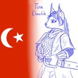  1:1 anthro armor blackbetty bracers braided_hair chainmail clothing domestic_cat felid feline felis female fur hair inner_ear_fluff islamic mammal medieval melee_weapon religion solo star_and_crescent tuft weapon 