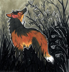  ambiguous_feral ambiguous_gender ampere_(leggypersec) black_body black_fur black_nose canid canine dipstick_tail feral fur glistening glistening_eyes green_eyes heatherwolf hi_res inner_ear_fluff mammal maned_wolf markings mouth_closed orange_body orange_fur orange_tail outside red_inner_ear_fluff side_view solo tail tail_markings tuft whiskers white_tail 