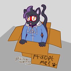  black_body black_fur bodily_fluids box cloe_(pixiecatsupreme) clothing container drooling eyewear eyewear_on_head fur glasses glasses_on_head hi_res homeless hoodie looking_at_viewer pink_nose pixiecatsupreme sad saliva sitting_in_box stray_cats tongue tongue_out topwear wearing_glasses 