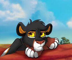  ambiguous_feral ambiguous_gender artist_name black_body black_fur blue_sky brown_eyes felid feral fur inner_ear_fluff kodaac lion mammal mouth_closed orange_inner_ear_fluff outside pantherine plant sky solo text tree tuft white_body white_fur yellow_sclera 