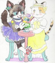  2021 alternative_fashion anthro barefoot blue_eyes bow_ribbon brown_body brown_fur calico_cat chair claws clothed clothing collar dessert domestic_cat dress duo ear_piercing feet felid feline felis female food fur furniture hat headgear headwear hi_res ice_cream kyokyota licking licking_lips mammal painting_(artwork) pawpads paws piercing ribbons semi-anthro simple_background sitting smile spiked_collar spikes stool table tail toes tongue tongue_out traditional_media_(artwork) watercolor_(artwork) whiskers white_body white_fur yellow_clothing yellow_dress yellow_eyes 