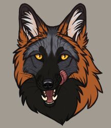  ambiguous_form ambiguous_gender black_body black_fur black_nose canid canine cheek_tuft facial_tuft fangs fox fur glistening glistening_eyes grey_background grey_body grey_fur heatherwolf hi_res inner_ear_fluff licking licking_lips licking_own_lips looking_at_viewer mammal neck_tuft open_mouth orange_body orange_fur pupils simple_background slit_pupils solo teeth tongue tongue_out tuft whiskers white_inner_ear_fluff yellow_eyes 