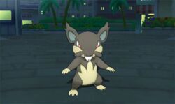  alolan_rattata animated animated pokemon pokemon_sm rattata 