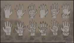  2012 5_fingers abstract_background ambiguous_gender anatomy anthro avian black_border border canid canine claws close-up digital_drawing_(artwork) digital_media_(artwork) dragon drpickelle english_text equid fingers fur grey_theme hi_res how-to human informative lizard long_claws mammal model_sheet mythological_creature mythological_scalie mythology pawpads reptile scales scalie shaded signature simple_background solo text 