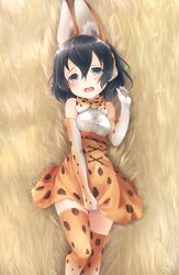  animal_ears blush bow clothes_pull commentary cosplay covering_crotch covering_privates elbow_gloves fake_animal_ears female gloves highres kaban_(kemono_friends) kemono_friends kuro_(baseball0000) looking_at_viewer lying on_back open_mouth serval_(kemono_friends) serval_(kemono_friends)_(cosplay) serval_print short_hair skirt skirt_pull sleeveless solo tail tearing_up 