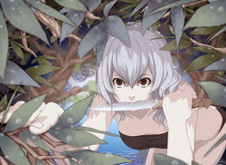  bandeau bikini black_bikini blurry brown_eyes bush collarbone commentary_request depth_of_field female grey_hair hair_between_eyes highres holding holding_knife kneeling knife leaf mouth_hold noraico original photoshop_(medium) ripples slit_pupils solo swimsuit water water_drop 