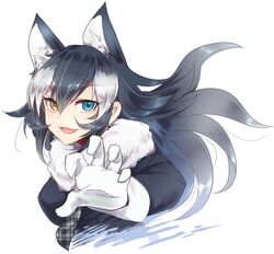  animal_ears black_hair black_shirt blue_eyes breasts commentary_request female fur_collar gloves grey_wolf_(kemono_friends) heterochromia kemono_friends long_hair long_sleeves looking_at_viewer makotono_(makotono_00) medium_breasts multicolored_hair necktie open_mouth shirt smile solo two-tone_hair white_hair wolf_ears wolf_girl yellow_eyes 