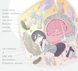  biology black_hair black_socks breasts cell_(biology) cell_nucleus centriole commentary_request educational endoplasmic_reticulum english_text female golgi_apparatus grey_eyes kneehighs large_breasts loafers long_hair looking_at_viewer lysosome mitochondria original pleated_skirt sakurai_energy school_uniform science shoes skirt socks solo typo vest 