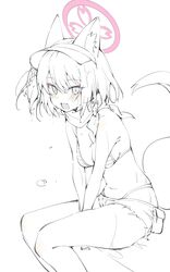  animal_ear_fluff animal_ears bikini blue_archive blush braid breasts female fox_ears fox_girl fox_tail hair_between_eyes halo highres izuna_(blue_archive) izuna_(swimsuit)_(blue_archive) looking_at_viewer medium_breasts monochrome oerba_yun_fang official_alternate_costume open_mouth pink_halo short_hair shorts simple_background single_braid sitting solo striped_bikini striped_clothes swimsuit tail visor_cap wet white_background youguo_naberu 