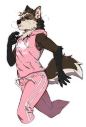  2021 adidas anthro athletic_wear black_nose blue_eyes bodily_fluids bottomwear brown_body brown_fur brown_hair canid canine clothing digital_drawing_(artwork) digital_media_(artwork) foshka fur grey_body grey_fur hair jogging kasusei male mammal mane maned_wolf maremare multicolored_body multicolored_fur multicolored_hair pattern_clothing pink_bottomwear pink_clothing pink_topwear sei_kasu simple_background sleeveless_hoodie solo striped_clothing stripes sweat tan_body tan_fur tan_hair topwear tracksuit white_background 