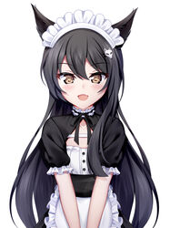  :d absurdres animal_ears apron black_dress black_hair black_ribbon blush brown_eyes chrisandita collarbone commentary dress female fox_ears fox_hair_ornament frilled_apron frills hair_between_eyes hair_ornament hairclip highres long_hair looking_at_viewer maid maid_headdress neck_ribbon oerba_yun_fang open_mouth original puffy_short_sleeves puffy_sleeves ribbon short_sleeves simple_background smile solo v_arms very_long_hair waist_apron white_apron white_background 