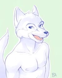 4:5 anthro battle_angel blue_eyes canid canine canis clothed clothing fur looking_at_viewer low_res male mammal nipples open_mouth simple_background smile solo tail tongue topless white_body white_fur wolf