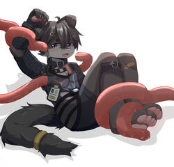  absurd_res accessory akari ambiguous_fluids anthro bandage blue_eyes blush blush_lines buckle claws collar countershading cute_fangs felid feline fur grey_body grey_fur hair_accessory hairclip hi_res male mammal pawpads restrained restrained_by_tentacles simple_background solo tentacle tentacle_under_clothing white_body 