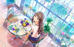  artist_request blue_skirt bottle brown_eyes brown_hair chair earrings female flower hattori_toko idolmaster idolmaster_cinderella_girls idolmaster_cinderella_girls_starlight_stage jewelry long_hair official_art pink_flower pink_rose red_flower red_rose rose scissors sitting skirt smile solo sunflower tree white_flower white_rose window 