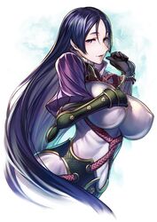  black_gloves blush breasts commentary_request covered_navel covered_nipples fate/grand_order fate_(series) female fingerless_gloves gloves grabbing highres large_breasts long_hair looking_at_viewer minamoto_no_raikou_(fate) open_mouth purple_eyes purple_hair simosi skin_tight smile solo very_long_hair 