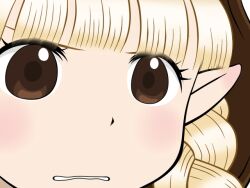  blonde_hair braid brown_eyes close-up commentary_request dragon&#039;s_crown elf elf_(dragon&#039;s_crown) female gochou_(kedama) gununu_(meme) meme pointy_ears solo 