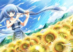  blue_eyes blue_hair commentary_request female flower h2o_footprints_in_the_sand junkos kohinata_hayami photoshop_(medium) solo sunflower twintails 