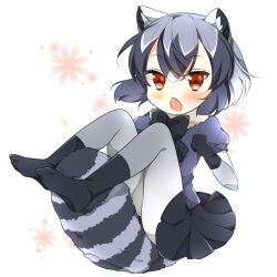  animal_ear_fluff animal_ears black_bow black_hair black_skirt black_socks blue_shirt blush bow bowtie brown_eyes clenched_hand common_raccoon_(kemono_friends) dot_nose female fur_collar gau_(n00_shi) grey_hair grey_pantyhose kemono_friends legs_up multicolored_hair oerba_yun_fang open_mouth pantyhose pleated_skirt raccoon_ears raccoon_tail shirt short_hair short_sleeves simple_background skirt socks striped_tail tail thighs two-tone_hair white_background 