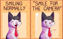  16:10 border ellipsis english_text felid feline forced_smile fur glassshine hi_res looking_at_viewer male mammal necktie open_mouth orange_border simple_background simple_eyes smile solo steve_(glassshine) text white_body white_fur widescreen 