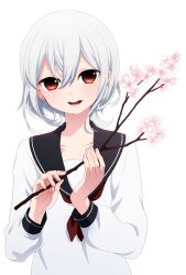  bad_id bad_pixiv_id blush branch brown_eyes cherry_blossoms collarbone female flower hair_between_eyes holding holding_branch long_sleeves looking_at_viewer musco open_mouth original round_teeth school_uniform serafuku short_hair simple_background smile solo teeth upper_body wavy_hair white_background white_hair 