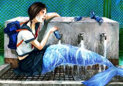  acrylic_paint_(medium) asahi_(sakanasakana) bad_id bad_pixiv_id black_hair brand_name_imitation can female fence mermaid monster_girl original painting_(medium) pleated_skirt pocari_sweat school_uniform serafuku sitting skirt solo traditional_media wet 