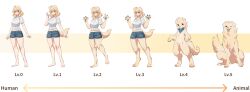  2024 alpha_channel anthro aoshima_bunka_kyozai arm_tuft blue_kerchief bottomwear brown_eyes canid canine canis chart clothing comparing crotch_tuft digital_drawing_(artwork) digital_media_(artwork) digitigrade directional_arrow domestic_dog english_text featureless_crotch feet female feral floppy_ears fur furry_scale gameplay_mechanics geometric_background gradient_background hi_res human humanoid kawarage_yatano kemono kemopla kerchief level_difference level_number level_up light_body light_fur light_skin mammal multiple_images number official_art pawpads paws semi-anthro sequence shirt shoeless shorts shoulder_tuft simple_background solo species_transformation standing tail text tongue tongue_out topwear transformation transformation_sequence tuft 