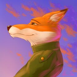  1:1 anthro canid canine clothed clothing fox fur green_eyes hi_res male mammal mr_sai multicolored_body multicolored_fur orange_body orange_fur portrait red_fox smile solo sunset true_fox white_body white_fur 