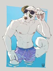  abs anthro canid canine canis clothing domestic_dog eyewear eyewear_on_head hi_res jenklin_(character) kangal lion21 livestock_guardian_dog looking_sideways male mammal molosser mountain_dog muscular pastoral_dog pool portrait slim solo sunglasses sunglasses_on_head swimming_trunks swimwear three-quarter_portrait 