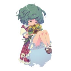  aged_down ascot bloomers closed_eyes commentary_request dress dress_flower eyelashes female fetal_position flower full_body green_hair highres holding holding_flower kazami_yuuka legs_together medium_hair oto plaid plaid_dress plaid_skirt plaid_vest plantar_flexion red_dress short_hair skirt skirt_set solo sunflower touhou transparent_background underwear vest wavy_hair 