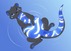  2024 3_fingers 3_toes aquaria_(devsoftpaw) belly bent_arm big_belly black_body black_fur black_kitty black_nose black_tail blue_body blue_eyes blue_fur blue_inner_ear blue_pawpads blue_tail cheek_tuft claws colored digital_drawing_(artwork) digital_media_(artwork) elemental_creature eyelashes facial_tuft feet female feral fingers fur glowing glowing_markings grey_claws hands_on_belly hi_res high-angle_view long_tail looking_at_viewer lying mammal markings multicolored_body multicolored_fur multicolored_tail mustelid on_back open_mouth open_smile otter partially_submerged pawpads pink_tongue pregnant pregnant_female pregnant_feral ripples shaded simple_shading smile smiling_at_viewer solo spread_legs spreading tail teeth toe_claws toes tongue tuft water white_body white_fur white_tail 