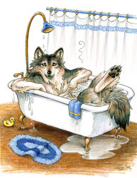  2002 anthro bath_mat bathing bathtub black_nose black_pawpads canid canine canis claw_foot_bathtub colored_pencil_(artwork) digitigrade fur grey_body grey_fur hindpaw looking_at_viewer male mammal nude pawpads paws puddle relaxing rubber_duck shaded shower_curtain showerhead signature snout solo tail traditional_media_(artwork) unknown_artist unknown_artist_signature washcloth water wolf 