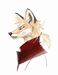  ambiguous_gender anthro black_nose brown_body brown_fur canid canine cheek_tuft clothing coat facial_tuft fox fur hair head_tuft inner_ear_fluff looking_at_viewer male_(lore) mammal ponytail red_clothing red_coat red_fox red_topwear side_view simple_background skia snout solo topwear true_fox tuft whiskers white_background white_body white_fur 