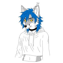  1:1 anthro arctic_fox belly blue_hair canid canine clothing collar crop_top cropped_hoodie femboy fox fur grey_body grey_fur hair male mammal no_pupils shirt simple_background topwear tora_(toraarcticfox) toraarcticfox true_fox white_body white_fur wolf_cut yellow_eyes 