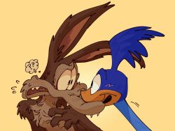  4:3 absurd_res anthro anthro_on_feral avian bird canid canine canis coyote cuculiform duo eye_contact face_to_face feral hand_on_chest hi_res k4pp4-8 looking_at_another looney_tunes male male/male mammal new_world_ground_cuckoo nose_to_nose question_mark road_runner_(looney_tunes) roadrunner surprised warner_brothers wile_e._coyote zoophilia 
