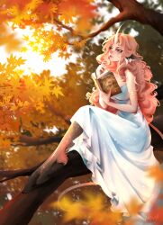  absurd_res anthro autumn big_(disambiguation) book breasts deer female female/female forest forest_background hair hi_res hooves horn humanoid humanoid_pointy_ears laffisa landscape light light_beam mammal maple_(disambiguation) maple_leaf markings nature nature_background new_world_deer on_the_tree pink_hair plant reindeer scut_tail short_tail solo spots spotted_markings sunlight sunset tail tree yellow_eyes 