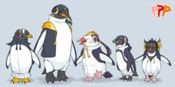  animal bird blue_background clothed_animal commentary_request emperor_penguin emperor_penguin_(kemono_friends) flock gentoo_penguin gentoo_penguin_(kemono_friends) headphones hood hoodie humboldt_penguin humboldt_penguin_(kemono_friends) kemono_friends kemonomichi_(blue_black) leotard no_humans penguin penguins_performance_project_(kemono_friends) rockhopper_penguin rockhopper_penguin_(kemono_friends) royal_penguin royal_penguin_(kemono_friends) simple_background skirt 