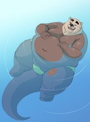  2020 anthro bathing belly brown_body captainjusticevirtsuoso closed_eyes clothing hi_res humanoid_hands justicecaptainv male mammal moobs mustelid navel otter overweight overweight_anthro overweight_male solo swimwear water 