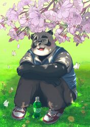  2022 anthro bear black_nose blush clothing eyewear flower giant_panda glasses hi_res humanoid_hands kemono male mammal pinoren plant sasayama_akira shirt sitting slightly_chubby solo topwear tree vtuber 