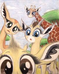  2016 antelope big_eyes big_head black_body black_fur blue_eyes bovid brown_body brown_eyes brown_fur brown_hair brown_mane brown_markings camera_view cautious cloud cloven_hooves colored_pencil_(artwork) countershade_legs countershade_torso countershading curious dik-dik eye_markings eyebrows eyelashes facial_markings fan_character female feral forehead_markings foreshortening frown fur fur_tuft gazelle gerenuk giraffe giraffid grass grey_body grey_eyes grey_fur grey_hooves grey_horn group hair hasbro head_markings head_tilt head_tuft hi_res hidden_camera hooves horn humor kekere_iwariiri kirk&#039;s_dik-dik long_eyelashes long_legs long_neck looking_at_viewer mammal mane markings multicolored_body multicolored_fur muzzle_(marking) my_little_pony nature nuk_the_gerenuk open_frown open_mouth orange_body orange_fur orange_spots ossicone outside perspective plant quadruped raised_eyebrow raised_leg reaction_image reticulated_giraffe salma_the_thomson&#039;s_gazelle savanna scared short_hair size_difference sky snout snout_markings spots spotted_body spotted_fur standing stare story story_in_description surprise tan_body tan_fur tan_horn thefriendlyelephant thomson&#039;s_gazelle toony traditional_media_(artwork) tree true_antelope tuft two_tone_body two_tone_fur unimpressed wary white_body white_countershading white_fur white_markings wide_eyed worried young young_feral zeka_the_reticulated_giraffe 